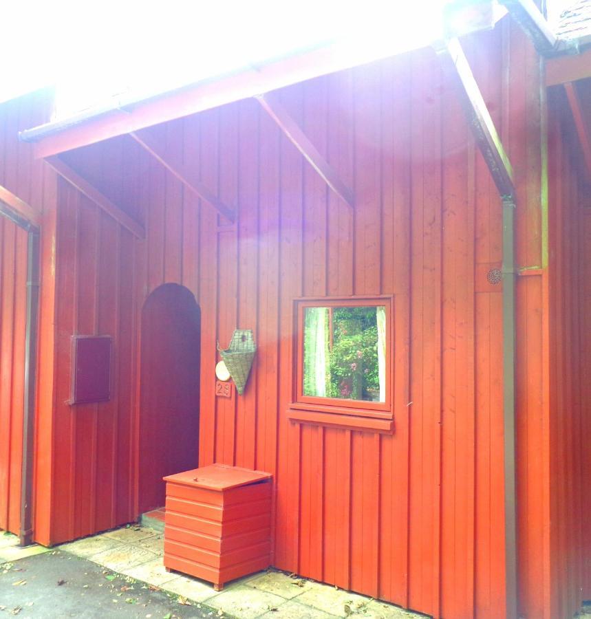 28 Yew Lodge Amroth Bagian luar foto